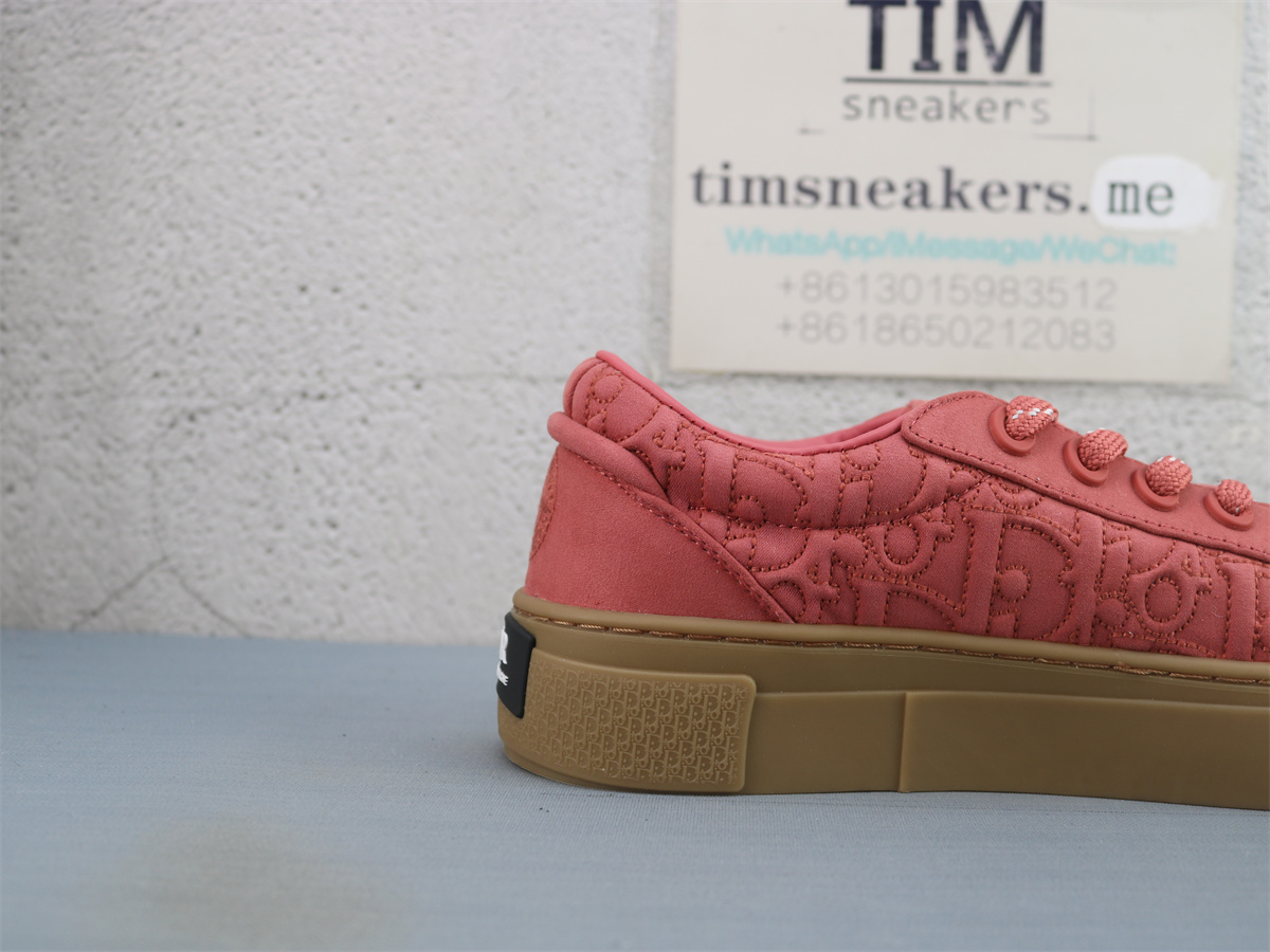 Stone Island x Dior B33 Skateboard Shoes Low-Top Red
